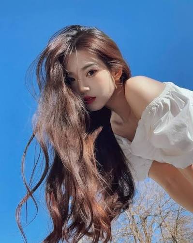 特派员 小鹿